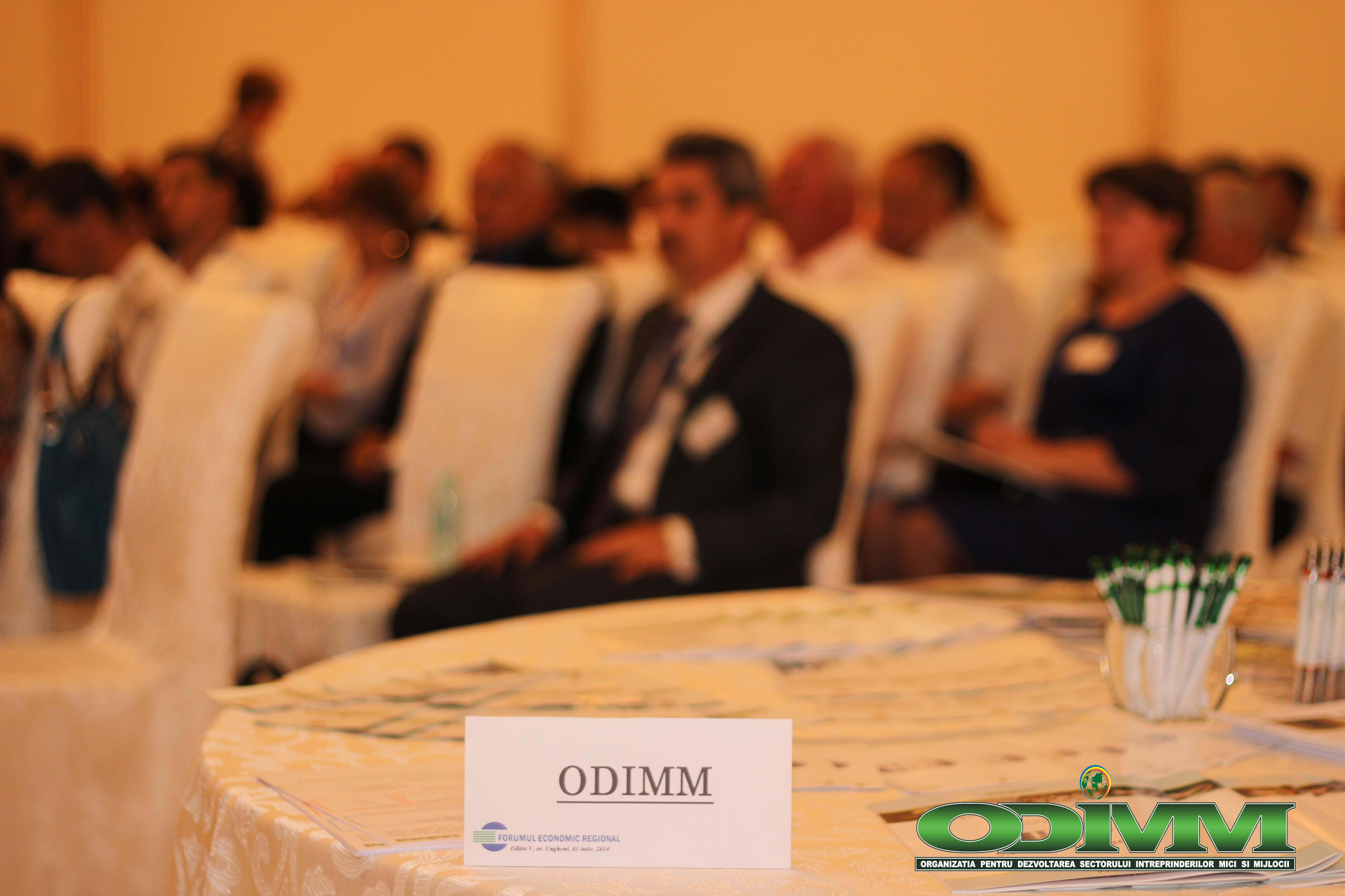 Forum Economic Regional Ungheni ODIMM1